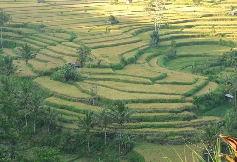 Mahagiri Resort & Restaurant