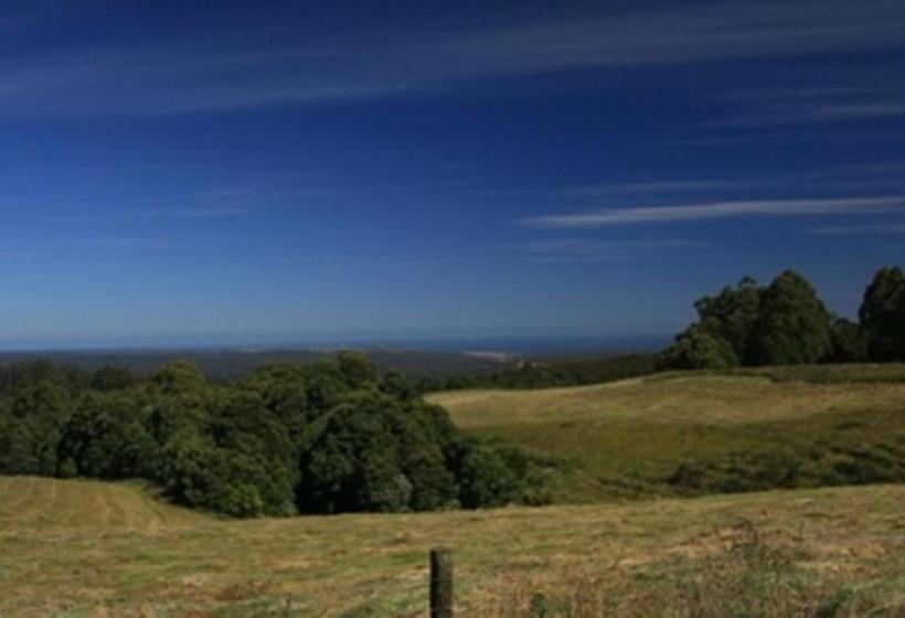 汽车旅馆  Otway Junction Motor Inn