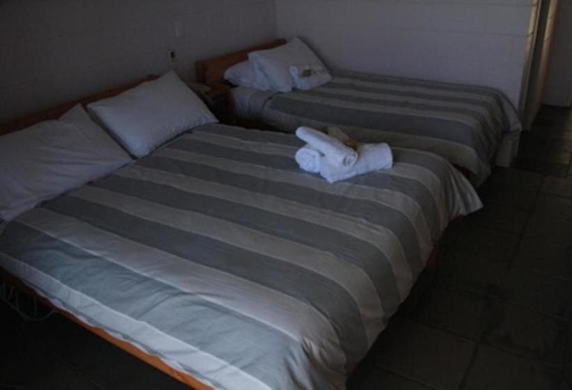 汽车旅馆  Otway Junction Motor Inn