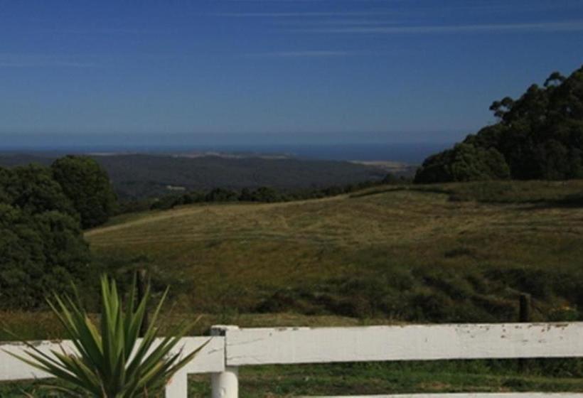 汽车旅馆  Otway Junction Motor Inn