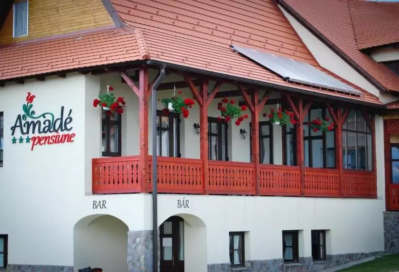 Amadé Pension & Restaurant