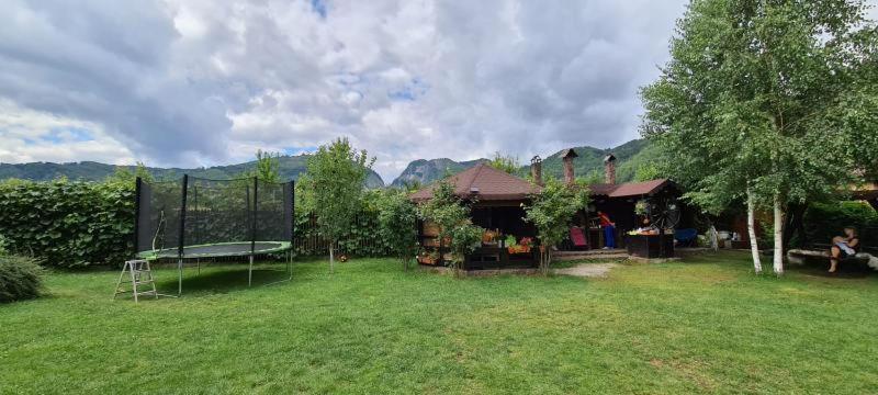 膳宿费 Conacul Caterinei