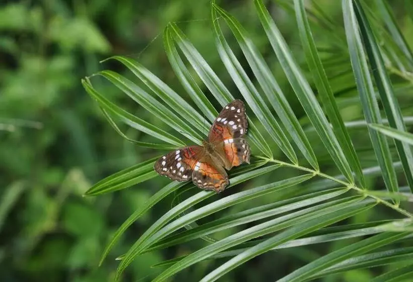 Majatalo Hostal Ariantiy