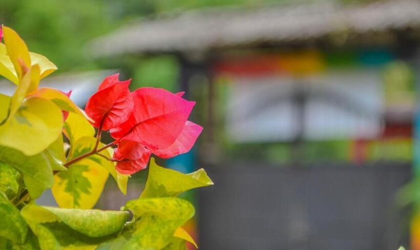 ペンション Hostal Ariantiy