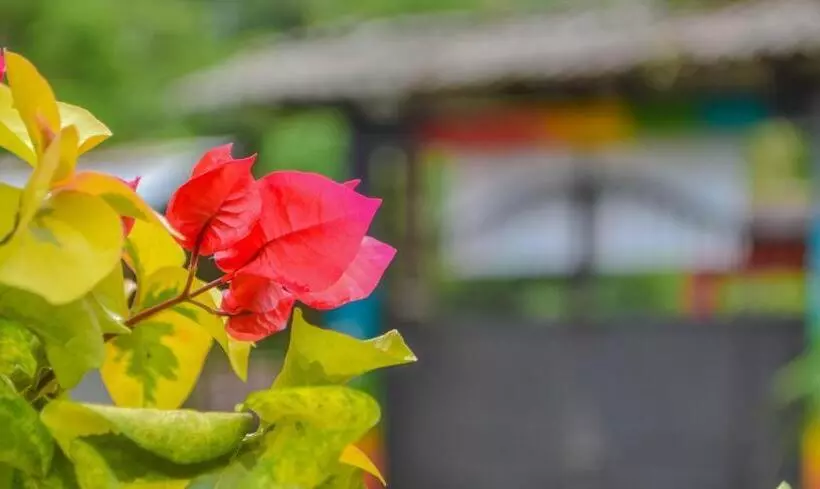 Majatalo Hostal Ariantiy