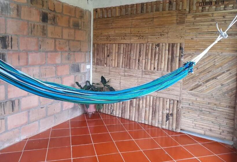 ペンション Hostal Ariantiy