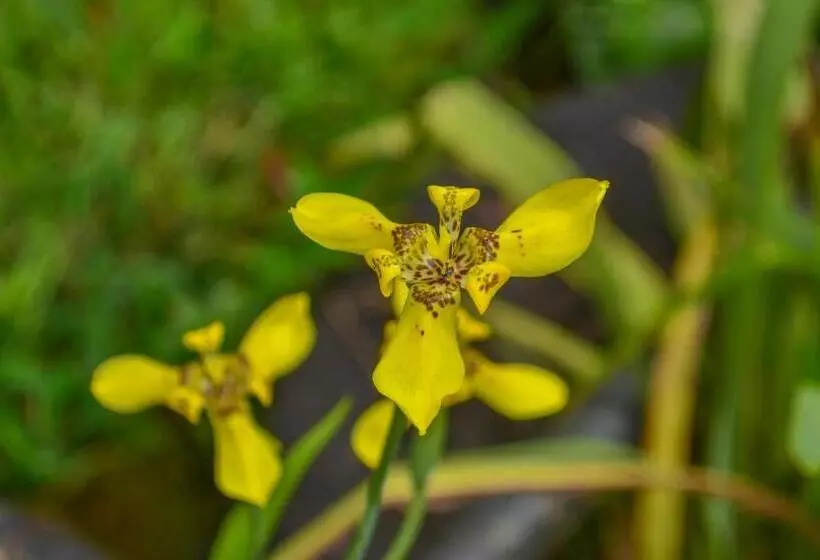 Majatalo Hostal Ariantiy