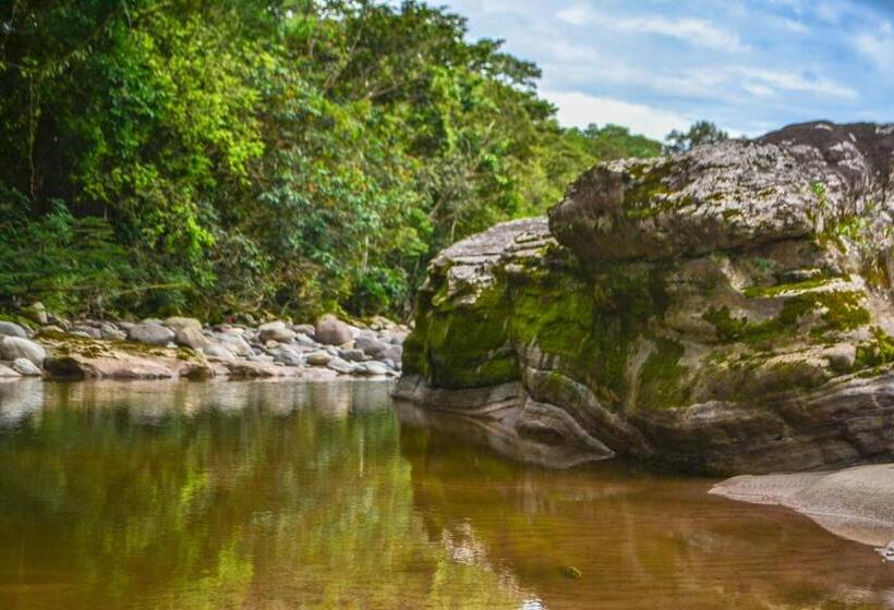 ペンション Hostal Ariantiy