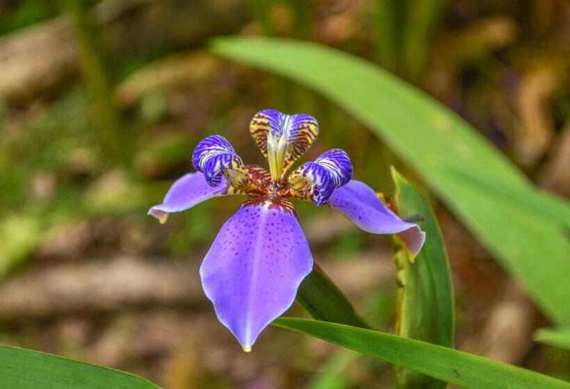 ペンション Hostal Ariantiy