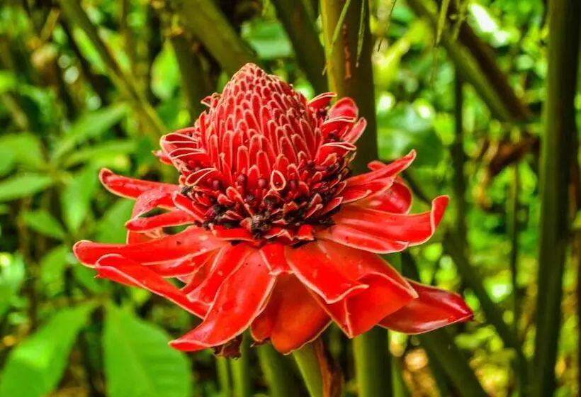 Majatalo Hostal Ariantiy