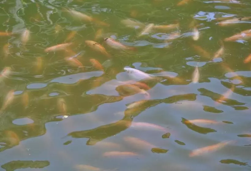 Majatalo Hostal Ariantiy