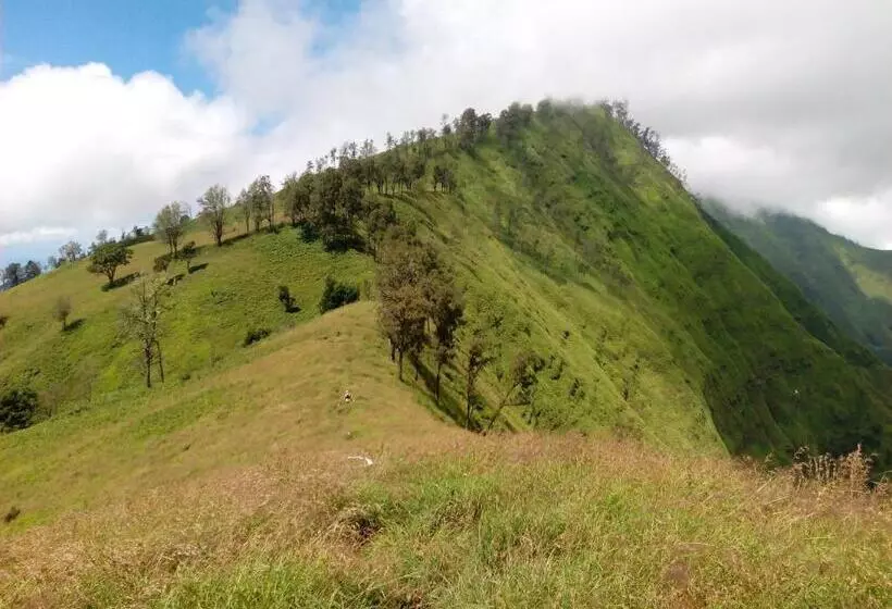 ペンション Radiya Guesthouse