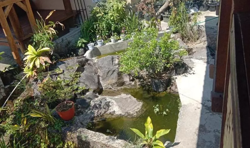 ペンション Radiya Guesthouse