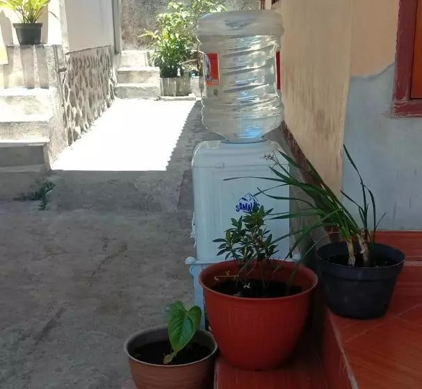 ペンション Radiya Guesthouse