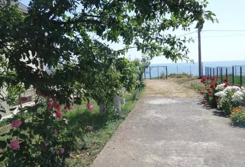 Pensiunea Sapte Pini