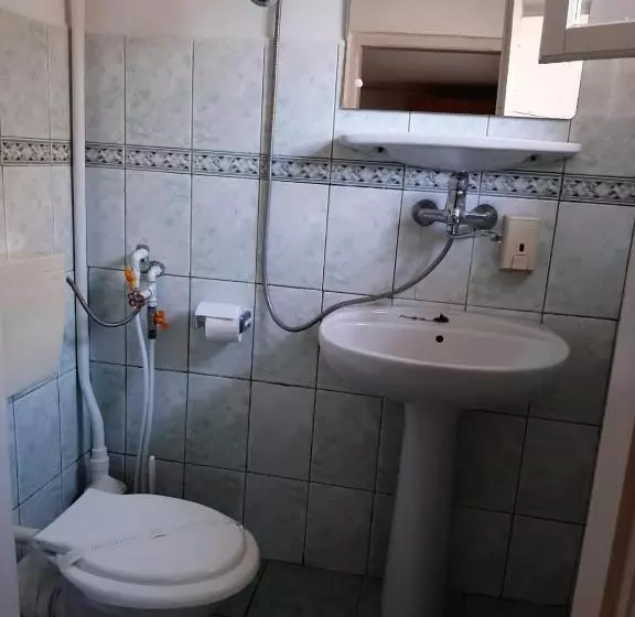 Pensiunea Sapte Pini