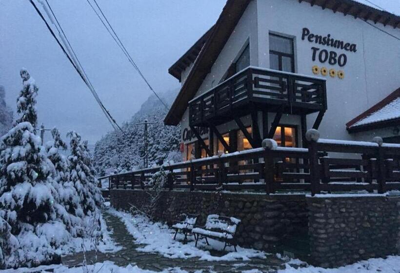 Pensiunea Tobo