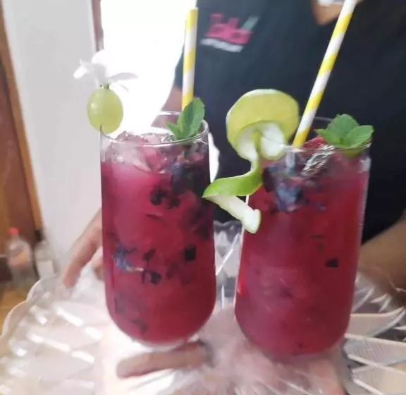 ユースホステル Zoila's Suite Escape