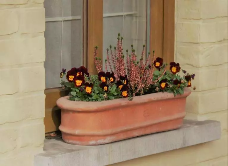 Aamiaismajoitus (B&B) Amberhoeve