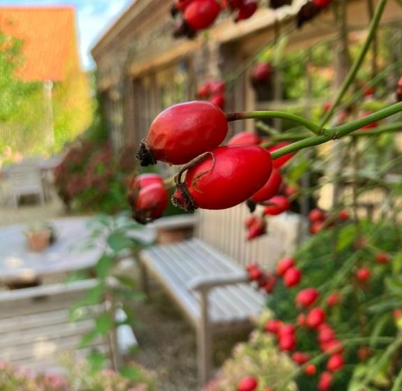 تختخواب و صبحانه Amberhoeve