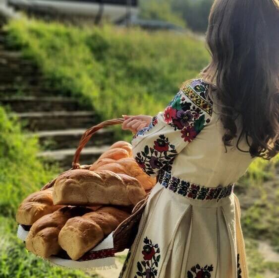 Bed and Breakfast Vatra Boiereasca