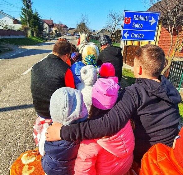 Bed and Breakfast Vatra Boiereasca