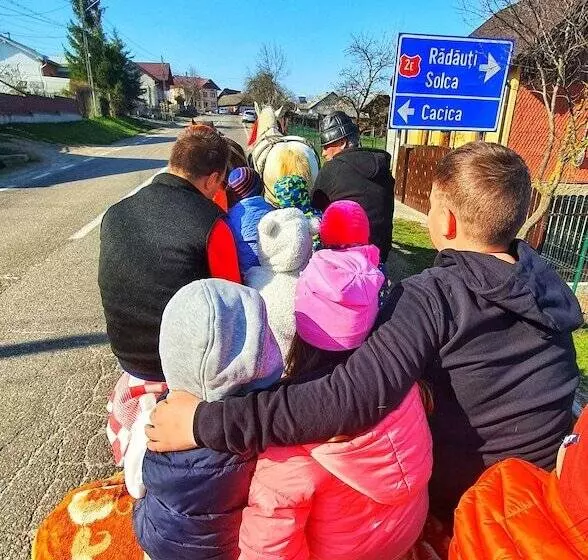 Aamiaismajoitus (B&B) Vatra Boiereasca