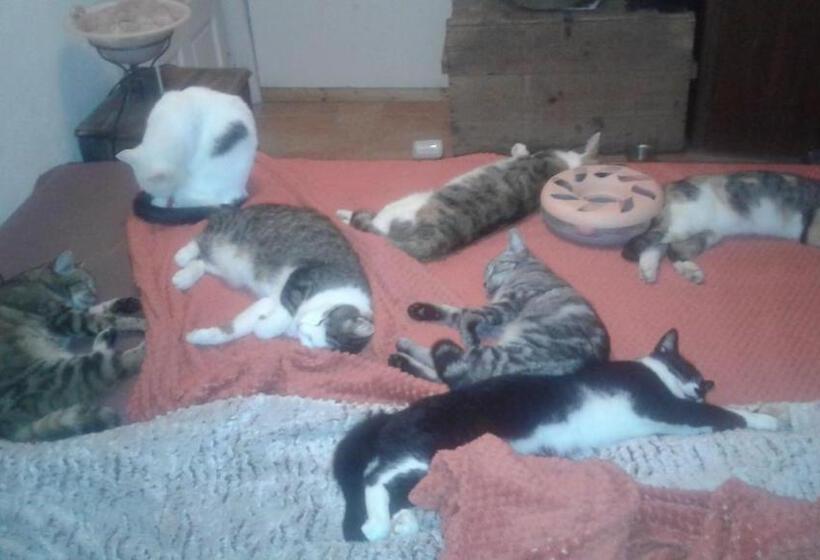 Отель A Sissy Hof