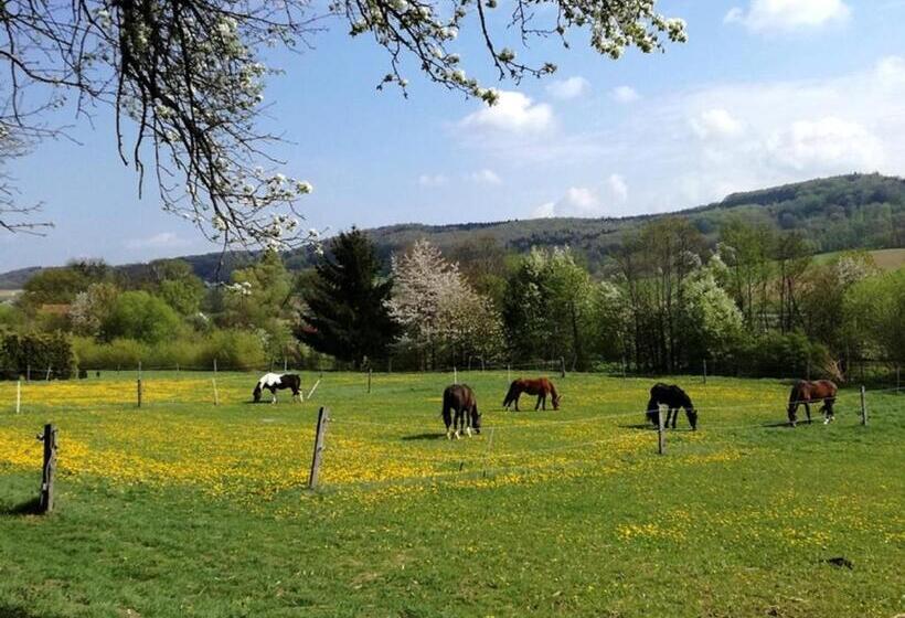 Отель A Sissy Hof