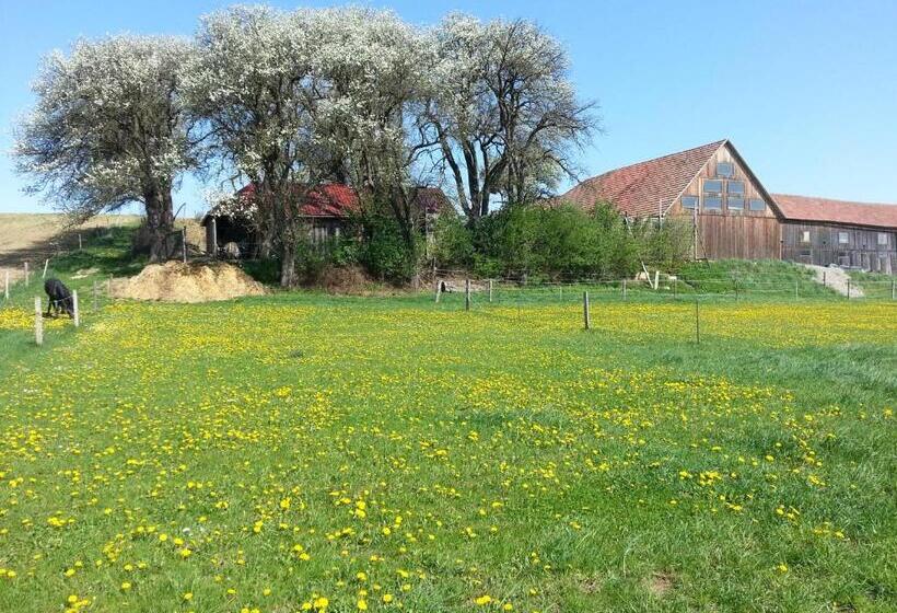 Отель A Sissy Hof