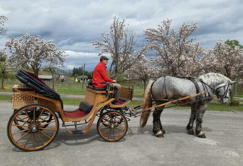 ホテル Agriturismo Casa Castellini