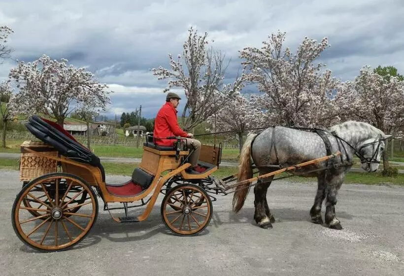 ホテル Agriturismo Casa Castellini