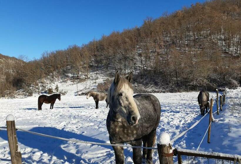 ホテル Agriturismo Casa Castellini