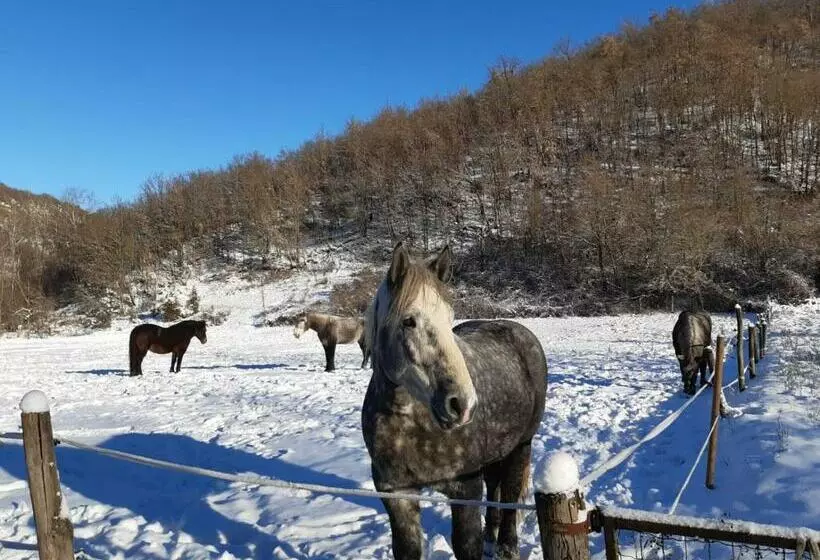 ホテル Agriturismo Casa Castellini