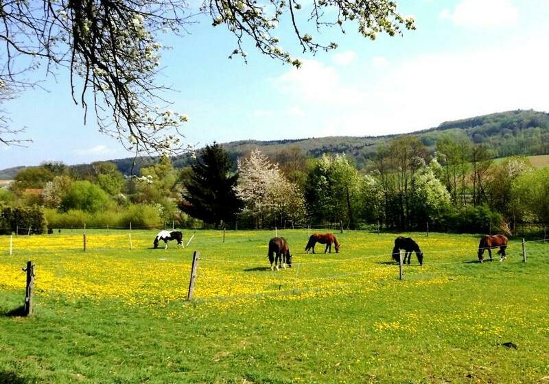 Отель A Sissy Hof