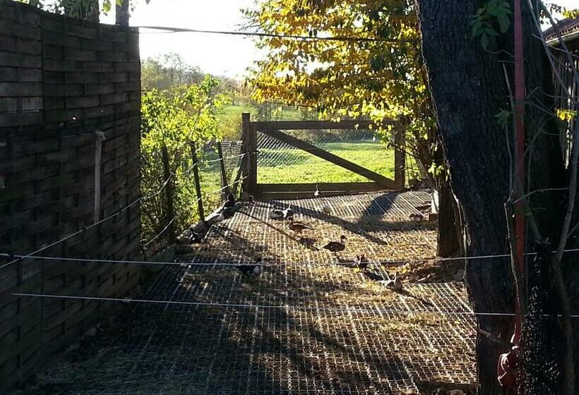 Отель A Sissy Hof