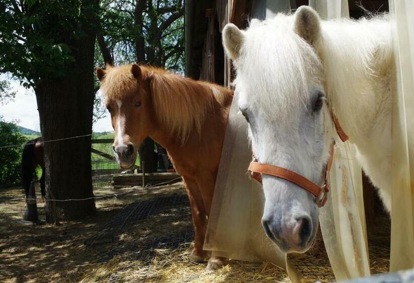 Отель A Sissy Hof