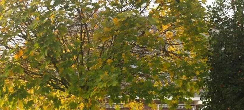 Hotelli De Herberg Van Anderen