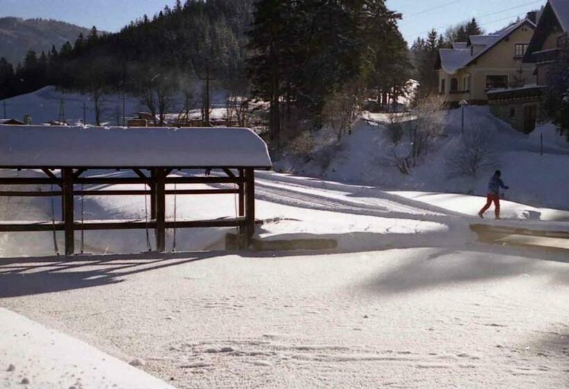 酒店 Kaiser Franz Josef