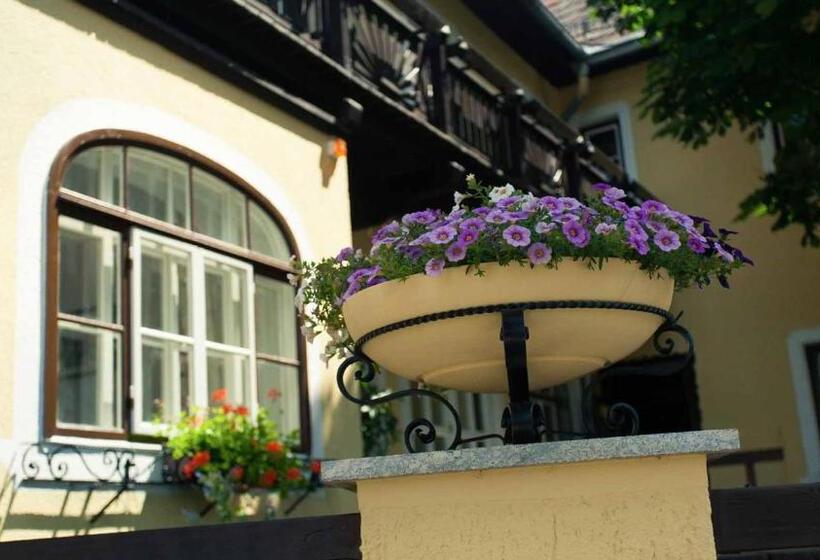 酒店 Kaiser Franz Josef