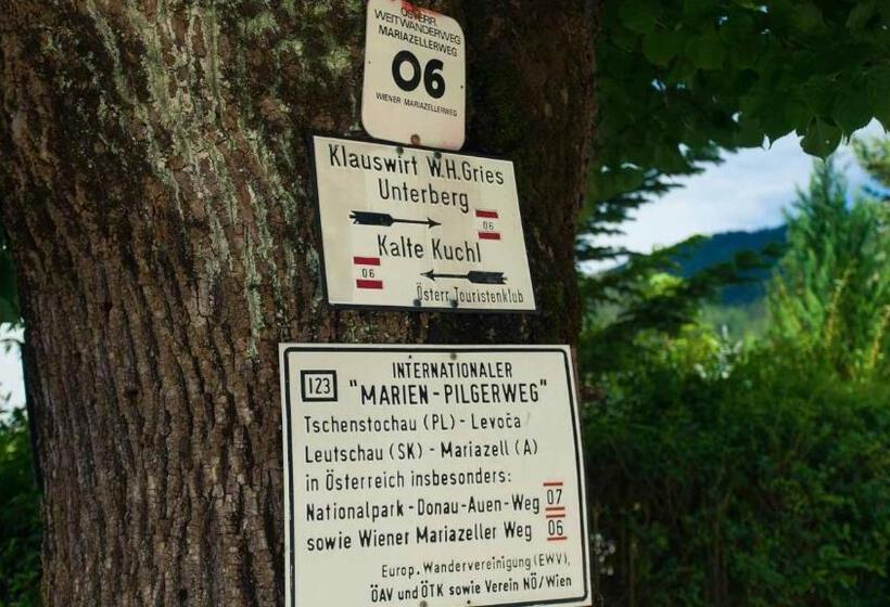 酒店 Kaiser Franz Josef