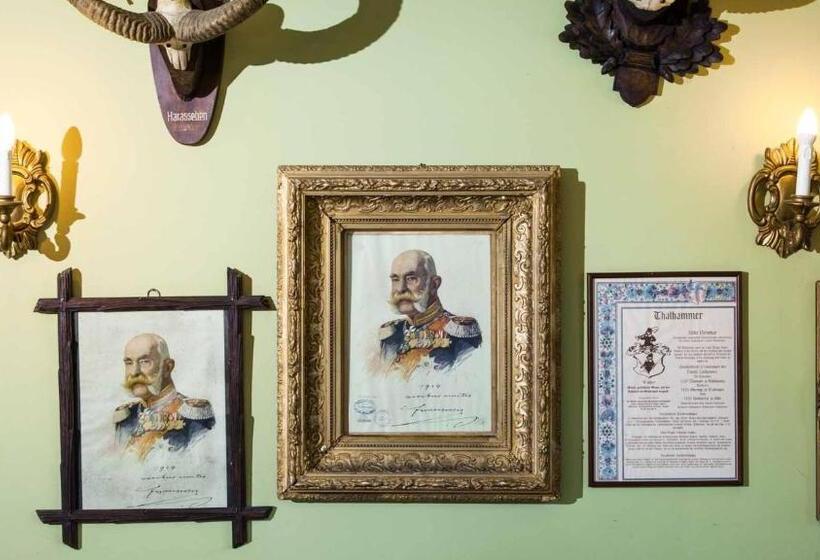 酒店 Kaiser Franz Josef