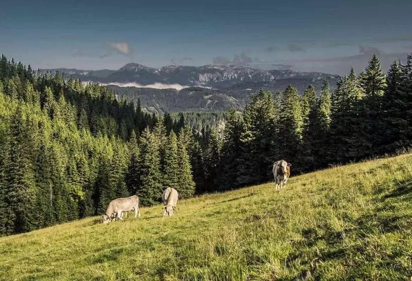 Hotelli Kaiser Franz Josef