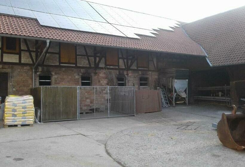 酒店 Kreuzdellenhof _ Ferienwohnung