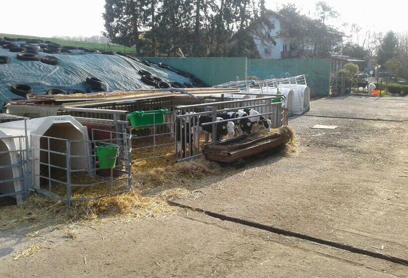 酒店 Kreuzdellenhof _ Ferienwohnung