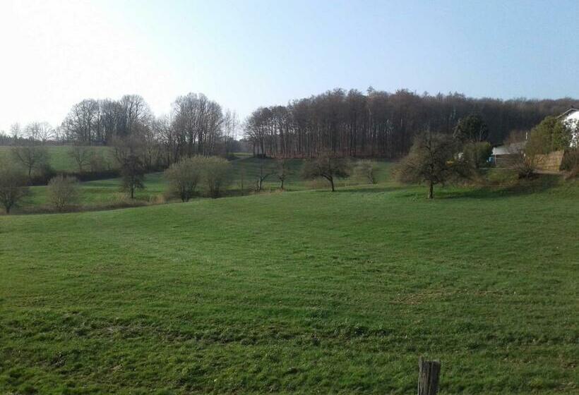 酒店 Kreuzdellenhof _ Ferienwohnung