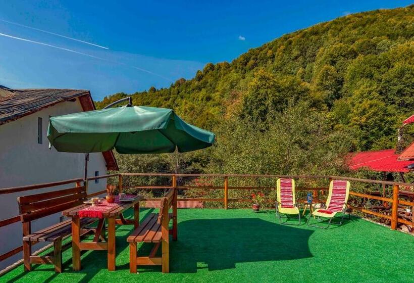 Pensão Raiul De Pe Rau