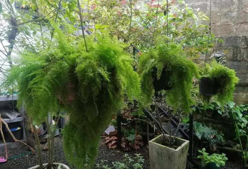 Majatalo Sinali Villa