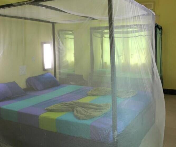 Aqua Hotel Fernando S Bar