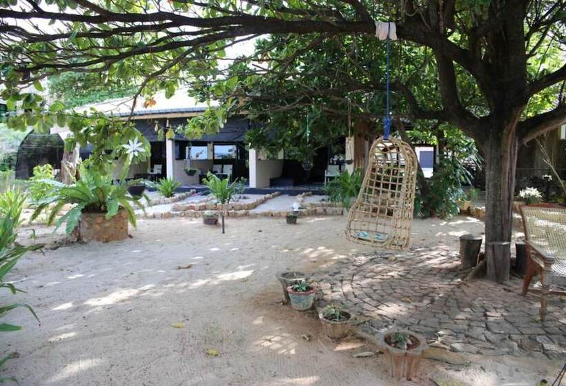 Aqua Hotel Fernando S Bar